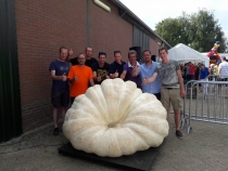 Giant Pumpkin - Belgium 2016-09-11